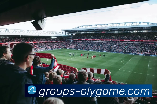 奥林匹斯之门试玩服务体系